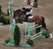 Cheval à louer 