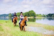 Balades à cheval et Cours d'équitation