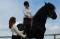Balades à cheval et Cours d'équitation