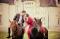 Balades à cheval et Cours d'équitation