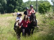 Balades à cheval et Cours d'équitation