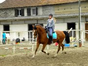 Cours de dressage mars 2015