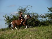 Propose shooting photo dans le 69590 - AMATEUR