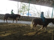 Monitrice d'équitation - Camp de jour d'été 2017