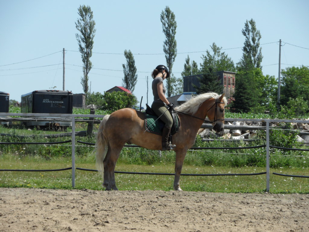 Service d'entraînement