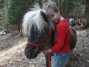 Superbe Cheval Miniature