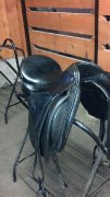 Selle de dressage à vendre