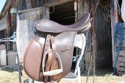 Selle classique Tout usage 16 pouce (DOIT...