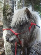 Licols en corde super qualite!
