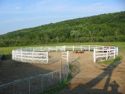 Cours d'équitation classique, pension, demi-pension Québec 