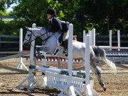 Medium Poney Welsh - super en concours, d&eacute;butant ou avanc&eacute;!