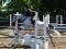Medium Poney Welsh - super en concours, débutant...