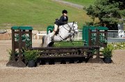 Medium Poney Welsh - super en concours, débutant...