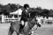 Medium Poney Welsh - super en concours, débutant...