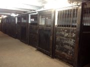 Pension pour cheval 