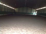 Pension pour cheval 