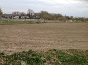 Pension pour cheval 