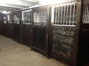 Pension pour cheval 