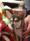 chiuhuahua toys