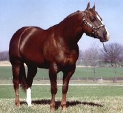 Sallie avec le meilleur cheval de Cutting de...