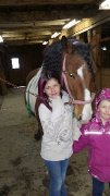 bon cheval Paint x 