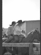 Guilding QH 14 ans