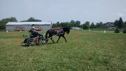Carrière de dressage