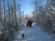 Sentier d'hiver