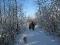 Sentier d'hiver