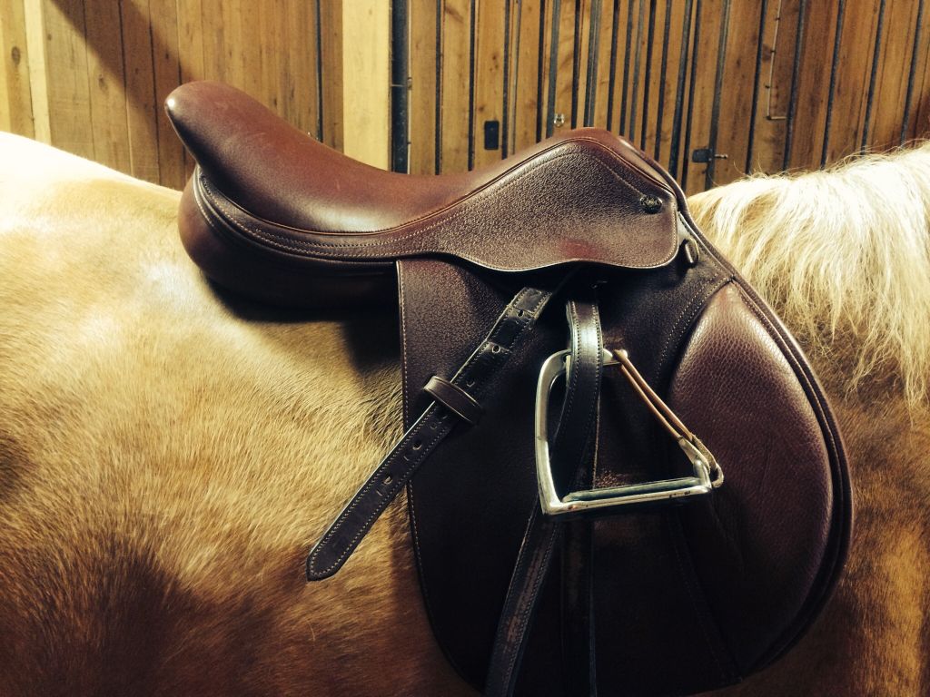 Selle close contact