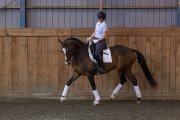Pension disponible 1er juillet Ecurie de dressage...