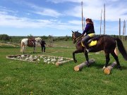 Pension pour Chevaux au Naturel.