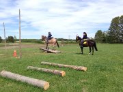Pension pour Chevaux au Naturel.