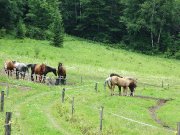 Pension dans la région du Mont-Tremblant