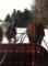 2 Chevaux Quater Horse de 10 ans (Guilding)
