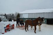 2 Chevaux Quater Horse de 10 ans (Guilding)