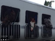 Transport partout au Québec 