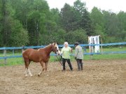 Cours d'équitation dans la région du Mont-Tremblant
