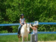 Cours d'équitation dans la région du...