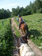 Vacances à cheval dans la région du Mont-Tremblant