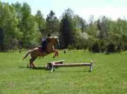 Vacances à cheval dans la région du Mont-Tremblant
