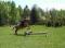 Vacances à cheval dans la région du Mont-Tremblant