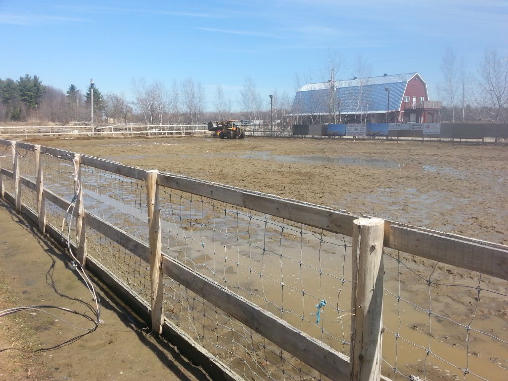 Pension pour chevaux exterieur et interieur - grand ring