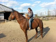 Pension pour chevaux exterieur et interieur - En famille