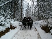 Sentier de neige