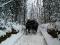 Sentier de neige