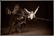 Troupe de spectacle Equestre cherche...