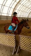 Cherche un emploie temps plein  - A cheval