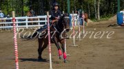 Recherche d'emplois (palfrenière,entraînement,cardio)