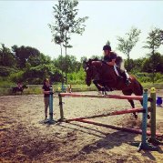 Tazamie, Irish TB